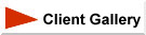 client_gallery_button.JPG (4839 bytes)